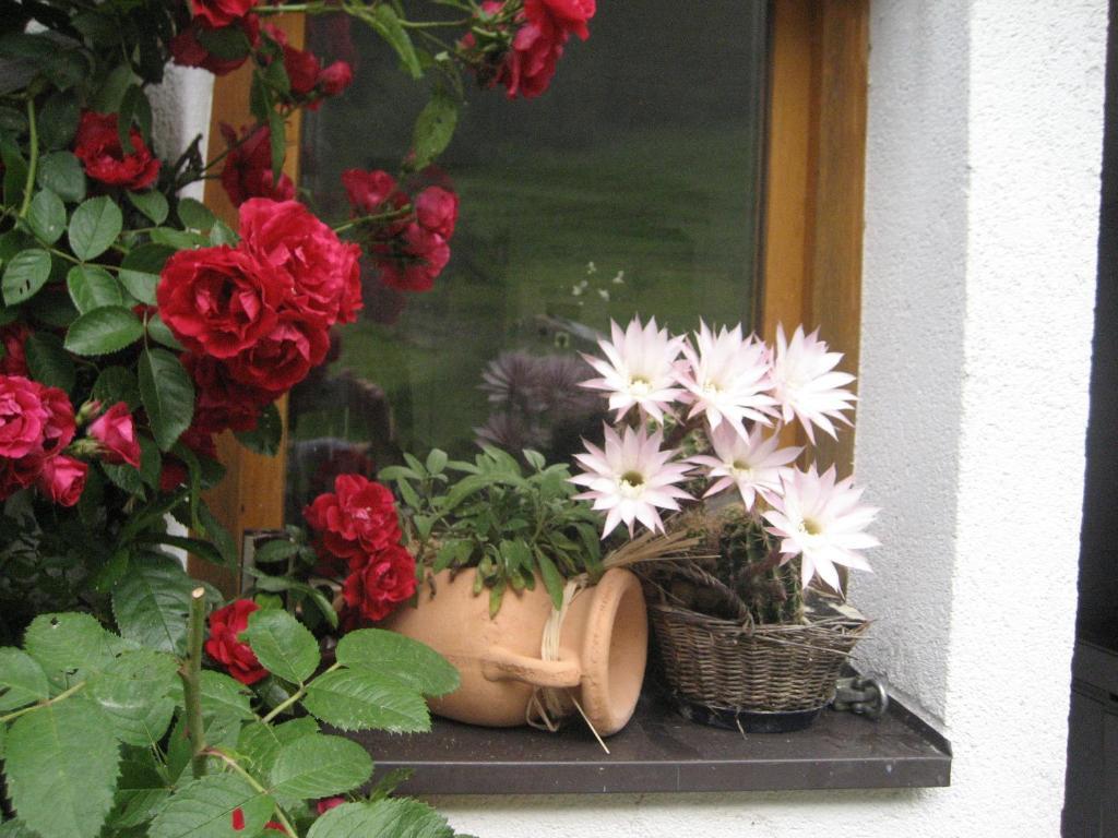 Apartament Hinterankerwald Walchsee Zewnętrze zdjęcie