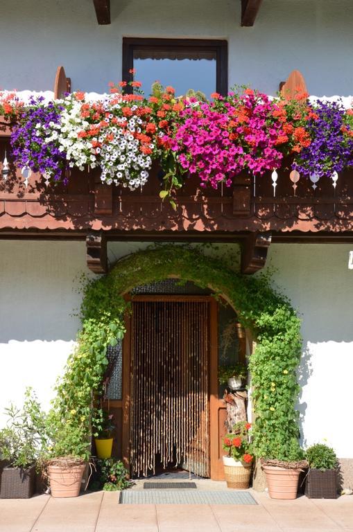 Apartament Hinterankerwald Walchsee Zewnętrze zdjęcie