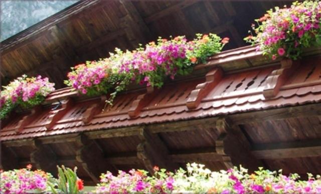 Apartament Hinterankerwald Walchsee Zewnętrze zdjęcie