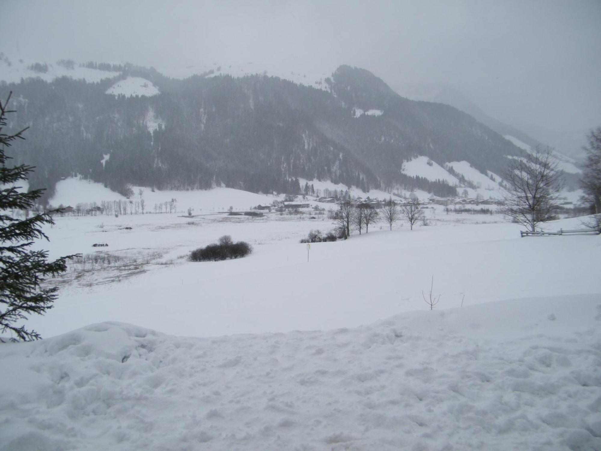 Apartament Hinterankerwald Walchsee Zewnętrze zdjęcie