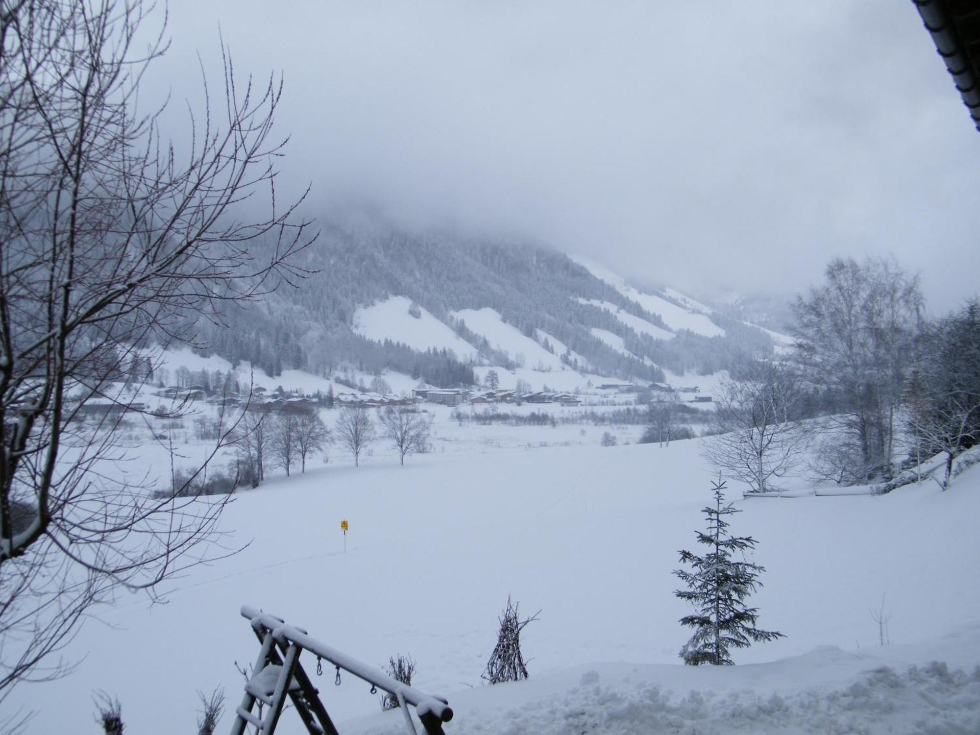 Apartament Hinterankerwald Walchsee Zewnętrze zdjęcie
