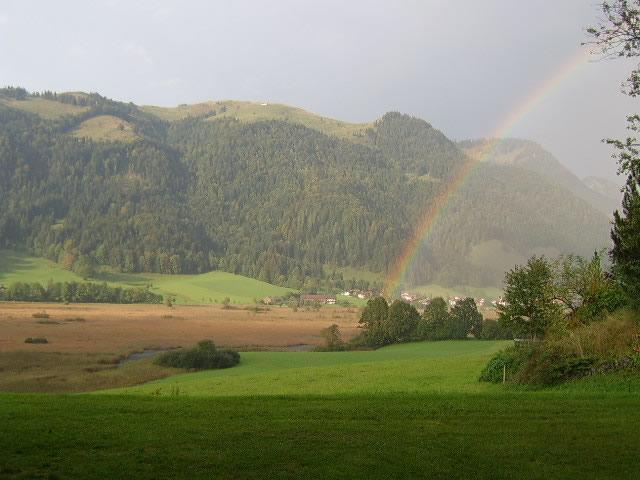 Apartament Hinterankerwald Walchsee Zewnętrze zdjęcie