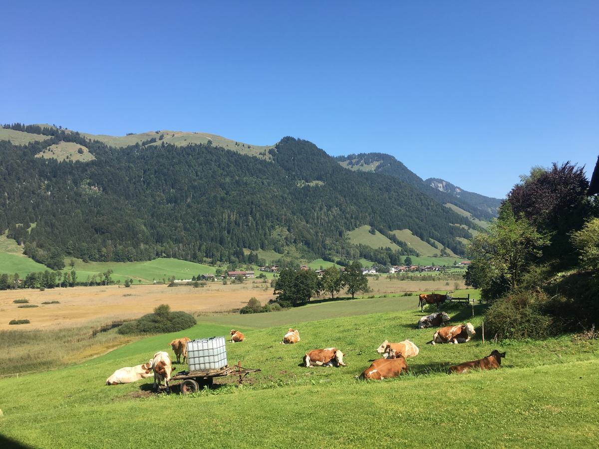 Apartament Hinterankerwald Walchsee Zewnętrze zdjęcie